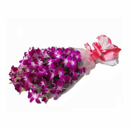 10 Purple Orchids